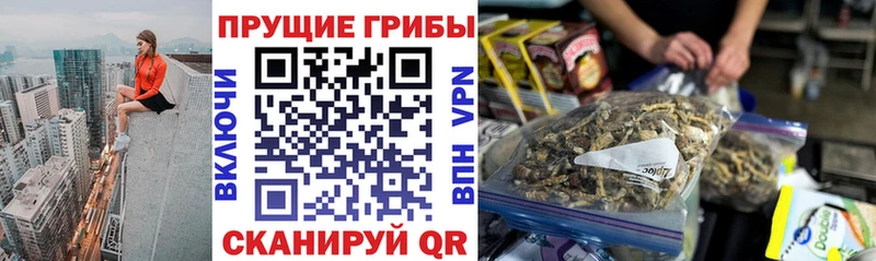 где продают наркотики  Южно-Сахалинск  гидра как зайти  Галлюциногенные грибы Cubensis 